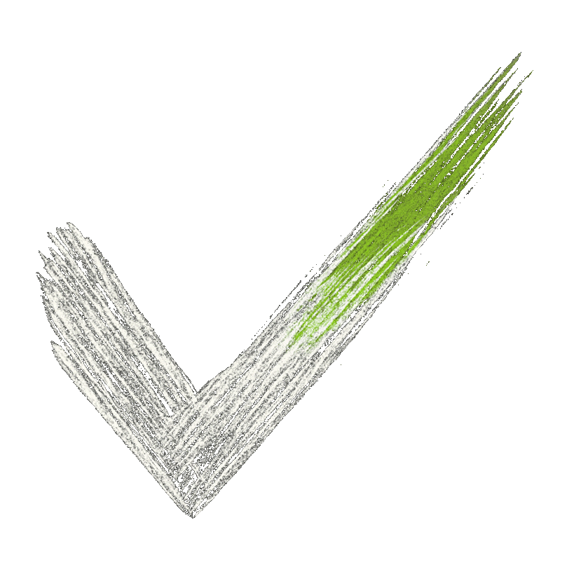 Icône de coche verte dessinée au crayon, symbolisant la validation ou la confirmation